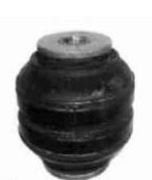 Cabin Mount Bush, Tata Prima